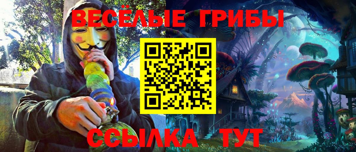 Псилоцибиновые грибы Psilocybe  Вход с VPN  Бутурлиновка 